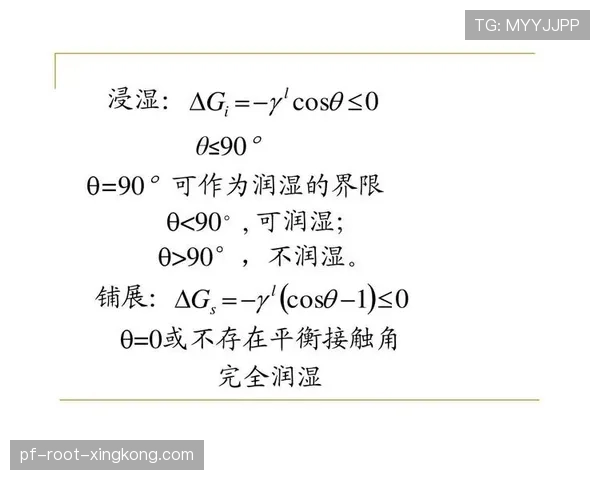 顶级纸张含水量呈现拓本技术:他是如何通过润湿平衡的 顶级纸张含水量呈现拓本技术:他是如何通过润湿平衡的